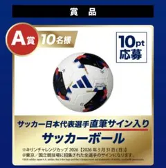 ボルヴィック特製 ジダン・サイン入りサッカーボール - メルカリ