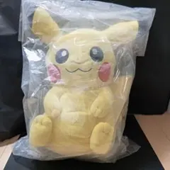 ポケモン一番くじ ブリリアントダイヤモンド発売記念ピカチュウ、イーブイぬいぐるみ