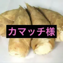 さっちゃん様　京都山城産　朝掘り筍訳あり3kg さっちゃん様 京都山城産 朝掘り筍訳あり3kg - メルカリ