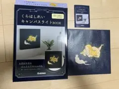 ★タイムセール　くらはしれい　キャンバスライトBOOK インテリア/ライト