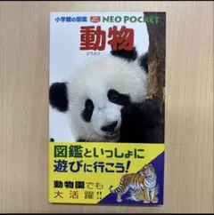 ゆんさま専用【新品／図鑑シリーズ／動物・昆虫】小学館の図鑑NEO POCKET