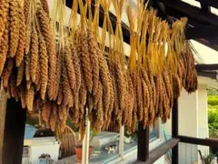 momo*haru様 リクエスト 2点 まとめ商品