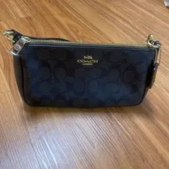 Item thumbnail for item f7c531b9-4ab3-42fa-94cd-aff7d84f948e