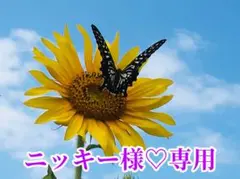 ニッキー様❤️おまとめ専用ページです。10/21まで♡