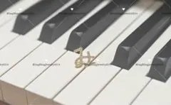 ひらがなピアス　み