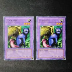 遊戯王　フュージョニスト　アジア版　LOB-022　字レア　2枚　Y465