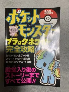 ポケットモンスター　ブラックホワイト2 完全攻略