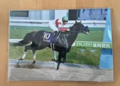 ダノンレジェンド 盛岡競馬 写真
