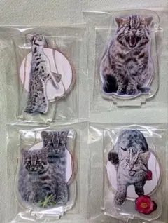 黒ねこ。様 リクエスト 2点 まとめ商品