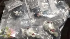 鬼滅の刃　ねむらせ隊3