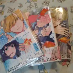 初版！透明カバー付！金魚屋さんのかりそめ夫婦 1~3巻セット　全巻