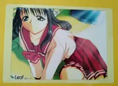 ToHeart　下じき　Leaf　リーフ