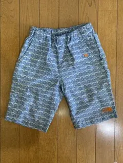【希少】ノースフェイス×ミナペルホネン コラボショートパンツ