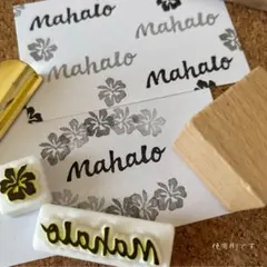 Item thumbnail for item a9105a98-7b83-4f08-a944-eced27977139