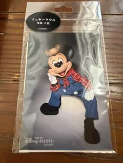 ディズニー　写真セット ミニーマウス、ミニーマウス2つセット