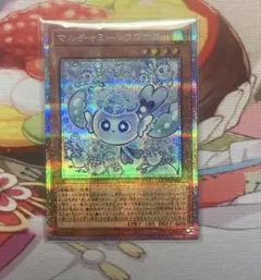 マルチャミーフワロス　プリシク　プルリア　ニャルス