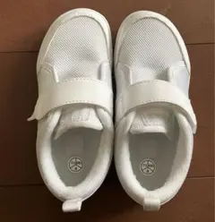 Item thumbnail for item aa7b3197-18ac-40ff-814d-5c056ff4c44e