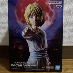 HUNTER x HUNTER Hunting Archives #11