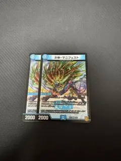 ネ申・マニフェスト 2枚