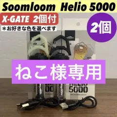 エクスゲート付　スームルーム　Soomloom Helio 5000 2セット②