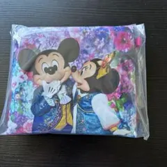 【ショッピングバッグ】ディズニー イマジニングザマジック ミッキー ミニー