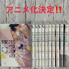 全巻初版帯付】 ホタルの嫁入り 1〜11巻 - メルカリ