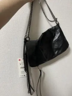 ZARA bag