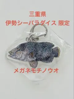 メガネモチノウオ 平面水族館 伊勢シーパラダイス