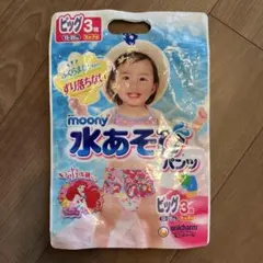 Item thumbnail for item d2503435-8a88-43f2-a246-7d4e801a2fa8