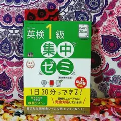 Item thumbnail for item 16ce685a-3856-496e-8219-cced9914dc79