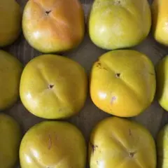 専用ページになります·͜·ᰔᩚ