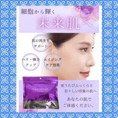 新品未開封✨エクソソーム フェイスマスク 30枚入り　1袋のサムネイル