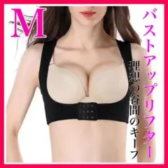 M バストメイク 補正下着 バストアップ リフター ナイトブラ プリンセス 猫背