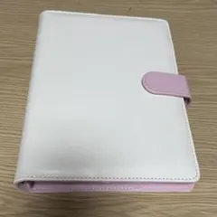 Item thumbnail for item 983a0aab-1f94-4504-a3c0-5629532a6de0