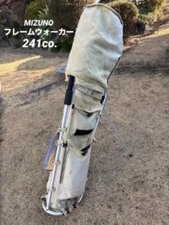 2026年最新】ミズノ フレーム ウォーカーの人気アイテム - メルカリ