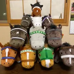 サラブレッドコレクション