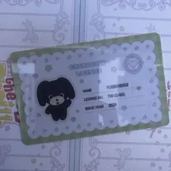 ジョンヨン IDカード TWICE THE THRILL POP-UP