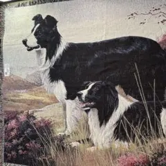 USA製　ヴィンテージ　ボーダーコリー　超大判ラグ　タペストリー　コットン