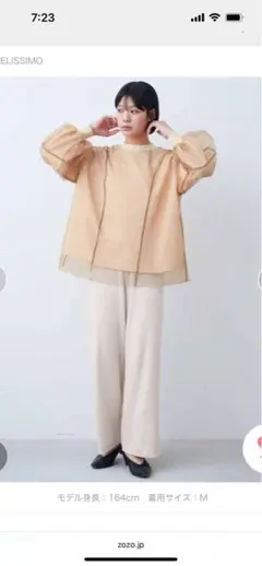 IEDIT 美品　チュール　トップス