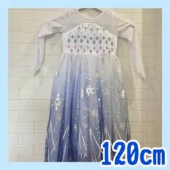 ドレス 120cm プリンセス アナ雪 エルサ風 キッズ コスプレ ブルー