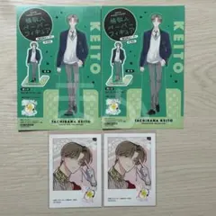 多聞くん今どっち!? ペーパーフィギュア ミニフォトカード　橘敬人　アニメイト