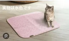 Item thumbnail for item 4d143306-cc5b-472b-996d-b74f84accbc5