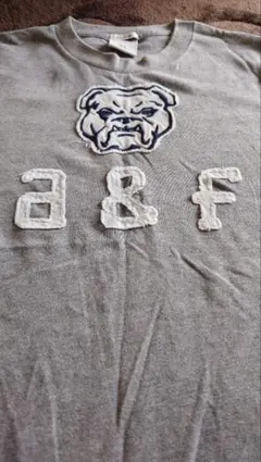Abercrombie Kids XL グレー Tシャツ