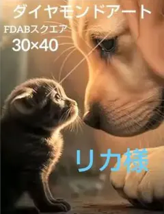 ダイヤモンドアートキット　FDABスクエア　30×40