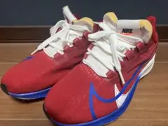 Nike 赤 青 スニーカー　25㎝　US8サイズ
