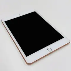 【48時間限定価格】iPad mini5 Wi-Fi+Cellular 64GB
