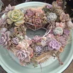 多肉植物 ♡そのまま飾れる寄せ植え♡ 21cm アイアンリース♬.*゜