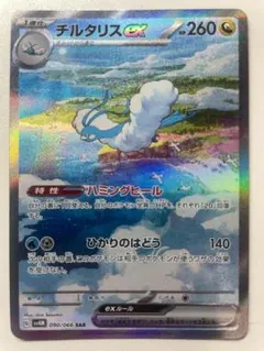 しゅんしゅん様 リクエスト 2点 まとめ商品