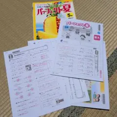 専用　5年テスト未使用 2026年最新】ぶんけい テスト 5年の人気アイテム - メルカリ
