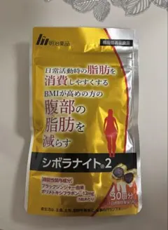 Item thumbnail for item 60d8b4a8-cc98-45f8-a1e1-048c1943cd88